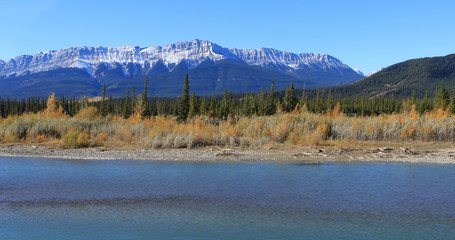 Rocky Mountain peaks with Athabasca River in foreground