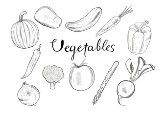 Set of hand drawn vector vegetables.