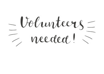 Fototapeta premium We need volunteers. Hand written lettering isolated on white background.
