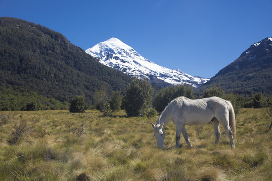Cara sur del Volc&aacute;n Lanin en el parque Nacional Lanin, Neuqu&eacute;n, Argentina