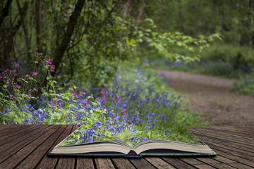 Shallow depth of field landscape of vibrant bluebell woods in Spring concept coming out of pages in open book