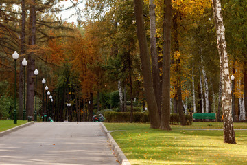 The autumn city park