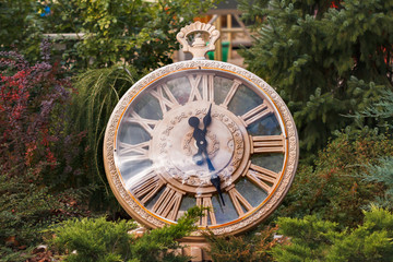 Close-up decorative vintage watch in park. Concept of change of seasons