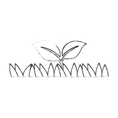 grass field with plant vector illustration design