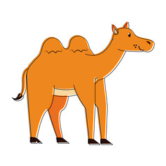 Cute camel cartoon icon vector illustration graphic design