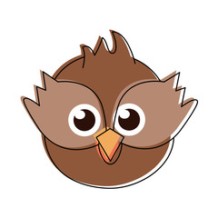 Cute owl bird cartoon icon vector illustration graphic design