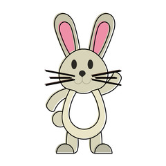 Cute rabbit cartoon icon vector illustration graphic design