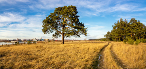 осенний пейзаж на берегу реки с деревьями на берегу, Россия, Урал, ноябрь © 7ynp100