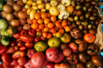 Different colorful tomatoes collected from a farmer's market