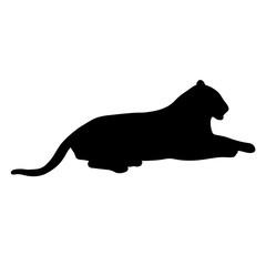 black silhouette of lying tiger on white background of vector illustration