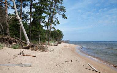 View to the sea.