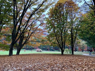 Autunno a Milano 3 - Basiglio