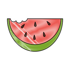 fresh watermelon isolated icon vector illustration design