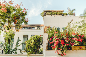 Tourism in Israel. Old district Neve-Tzedek in travel city Tel-Aviv