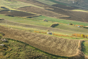 Fototapeta na wymiar Scenic sicilian agriculture landscape during autumn time