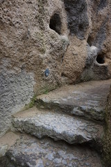 Fototapeta premium Prague - Park