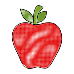 apple fresh isolated icon vector illustration design