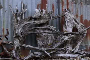 Driftwood Castoffs