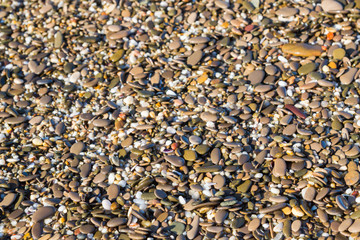 Sea stones on the beach in the summer