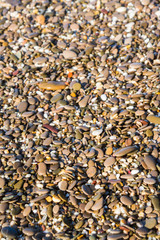 Sea stones on the beach in the summer