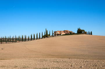Villa in Tuscany with cypress road or alley in autumn, Valley of Val D'orcha, Italy.