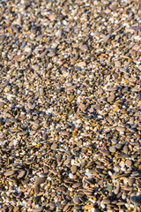 Sea stones on the beach in the summer
