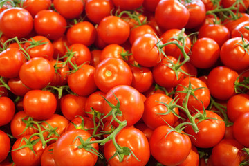Many tomato background. Tomatoes on the counter of the store close-up. Harvest the tomato.