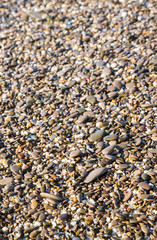 Sea stones on the beach in the summer