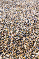 Sea stones on the beach in the summer