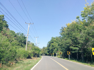 a path is in the green forest