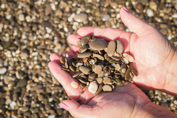 Sea stones in hands on the beach in the summer