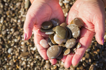 Sea stones in hands on the beach in the summer