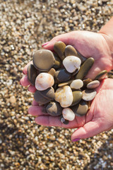 Sea stones in hands on the beach in the summer