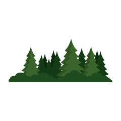 pine forest scene icon vector illustration design