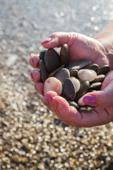Sea stones in hands on the beach in the summer