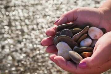 Sea stones in hands on the beach in the summer