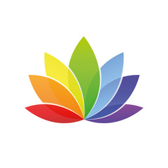 lilie sieben bl&uuml;ten regenbogenfarben