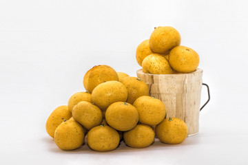 The mandarin orange (Citrus reticulata; Chinese: 橘子 or 桔子; pinyin: júzi), also known as the mandarin or mandarine, is a small citrus tree with fruit resembling other oranges.