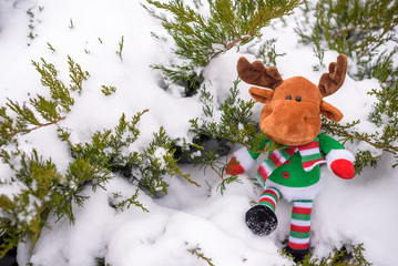 Obraz premium Christmas toy deer in holiday clothes among snow, blurred background tree