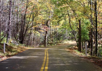 The mountain road in the smoky mountains Tennessee.