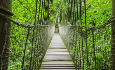 Obraz na płótnie Canvas Alnwick wooden Treehouse, wooden and rope bridge, Alnwick Garden, in the English county of Northumberland, UK