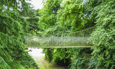 Alnwick wooden Treehouse, wooden and rope bridge within trees, Alnwick Garden,  in the English...