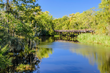 Abandoned railroad bridge is a reminder of logging in the 19 century which devastated the cypress forest around Lake Pontchartrain in Louisiana