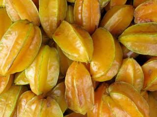 Starfruits, Averrhoa Carambolas, Costa Rica Central America