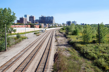 Fototapeta premium Three railroad tracks curve and vanish away into the distance