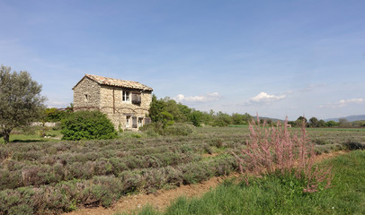 Fototapeta na wymiar en Provence