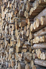 Pile of firewood in geometric composition