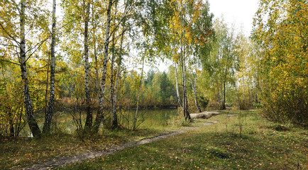 Autumn day on the shore of the lake.