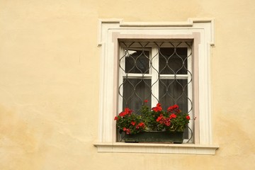 Fototapeta na wymiar windows with red flowers in the centre of Brixen/Bressanone, Bolzano. Italy.
