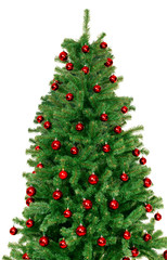 Christmas Tree isolated on white background